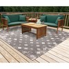 Liora Manne Carmel  Indoor/Outdoor Rug  Black.. - 2 of 4