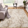 Shaggy Area Rug Modern Indoor Plush Fluffy Rugs Soft and Comfy Velvet Faux Fur Carpet Rugs for Bedroom Living Room Nursery - 2 of 4