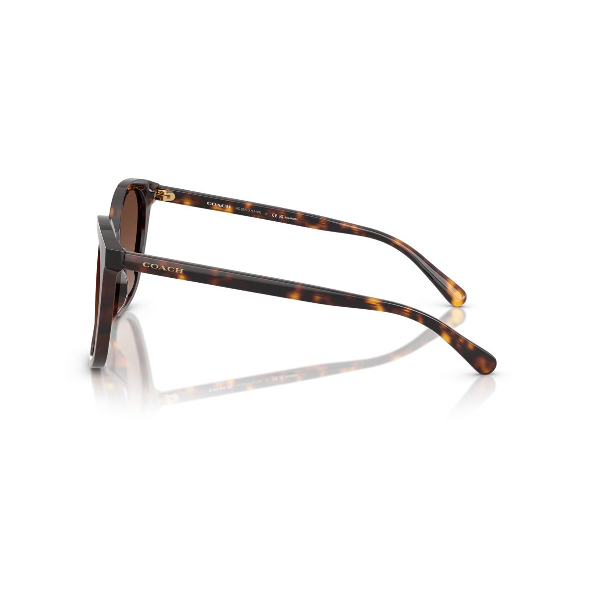 Coach HC8271U 57mm Female Square Sunglasses Polarized - thumbnail 9