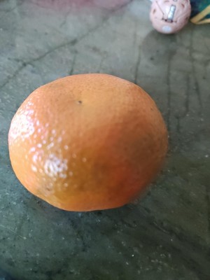 Guest review image 2 of 2, zoom in