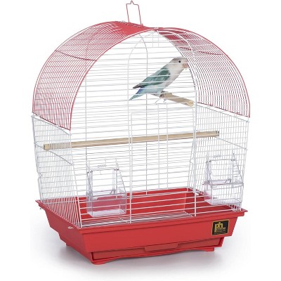 Prevue Pet Products South Beach Flat Top Bird Cage, Teal (SP50061)