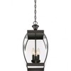 Quoizel Lighting Oasis 3 - Light Pendant in  Medici Bronze - 3 of 4