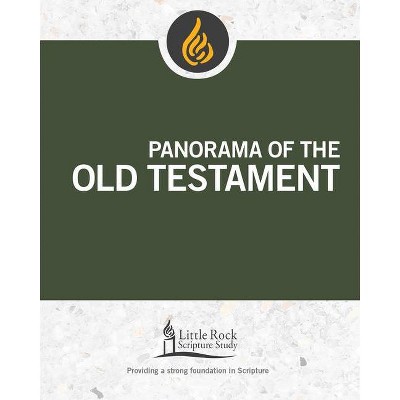 Panorama of the Old Testament - (Little Rock Scripture Study) by  Stephen J Binz (Paperback)