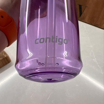 Contigo Ashland 2.0 Autospout Chill Stainless Steel Water Bottle 24oz  Cucumber : Target