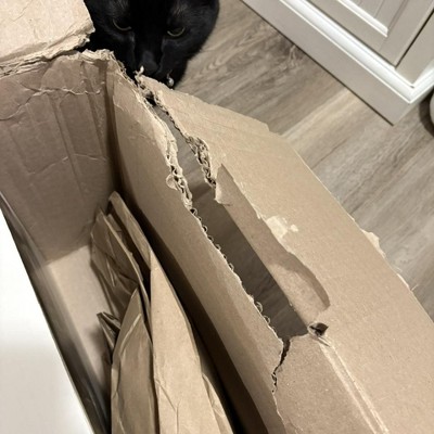 Guest review image 2 of 4, zoom in