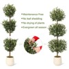 5FT Faux Artificial Olive Topiary Ball Plant in White Pot - Fake Plants for Indoor Display or Front Porch Decorations, 2Pcs - 3 of 4