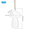 Unique Bargains Hydroponic High Borosilicate Glass Decorative Transparent Collectible Figurines 2 Pcs - 2 of 4