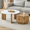 NicBex Natural Pattern Set of 2 Coffee Table with Embedded Design,Unique Rustic Charm Center Table for Living Room,Apartment - 2 of 4