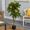 HomeStock  4 ft. Artificial Plumeria Tree in Pot for Indoor/Outdoor - 2 of 3