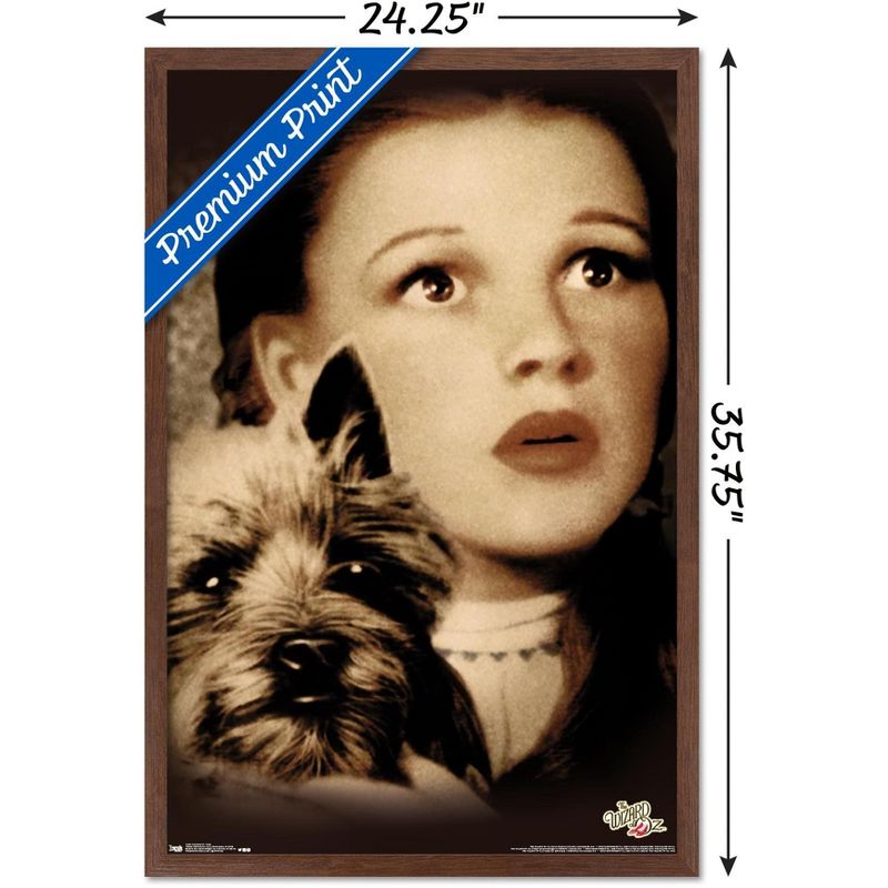 Trends International The Wizard Of Oz - Duo Framed Wall Poster Prints, 3 of 7