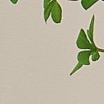 disc leaf tree