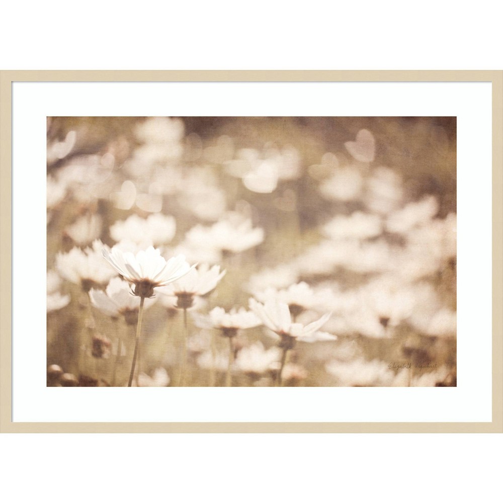 Photos - Other Decoration 41" x 30" Daisies I Neutral by Elizabeth Urquhart Wood Framed Wall Art Print - Amanti Art: Modern Botanical Decor, Hardwood