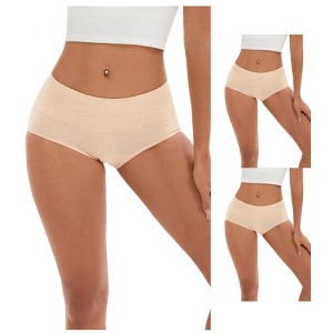 INSPIRE CHIC 3 Pcs Women's Plus Size High Waist Tummy Control Briefs Butt Lifter Control Panties - 1 of 4