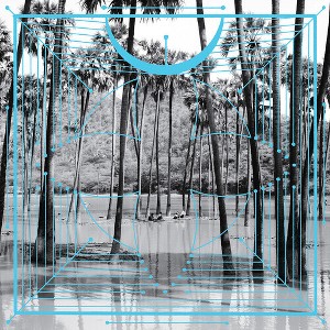 Four Tet - Pink (Vinyl) - 1 of 1