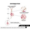 Pink Flamingo Earrings for Women Cz Rose Sterling Silver Ginger Lyne Collection - 4 of 4