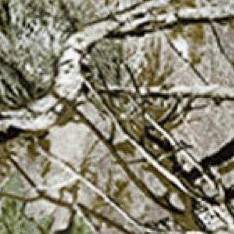 woods camo