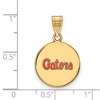 Black Bow Jewelry 14k Yellow Gold Plated Sterling Silver Florida Gators NCAA Medium Pendant - 2 of 3