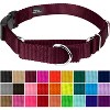 Country Brook Petz Heavy Duty Nylon Martingale Dog Collar with Deluxe Buckle - 30+ Vibrant Color Options - 2 of 4