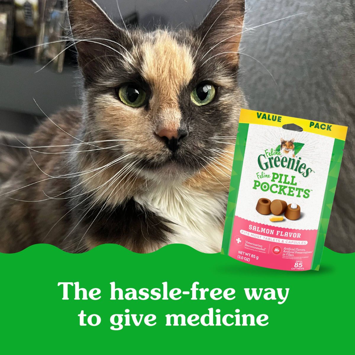 Greenies Feline Pill Pockets Salmon Cat Treats - thumbnail 10