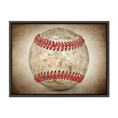 18" x 24" Sylvie Vintage Hardball Framed Canvas by Shawn St. Peter Gray - DesignOvation