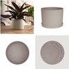 Bloem Mathers Round Resin Planter Pot Indoor and Outdoor Gardening - 3 of 4