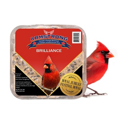 Royal Jubilee Brilliance Suet Cake Pack for Wild Birds