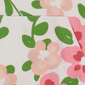 pink flowers on white background