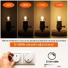 Runesay 25 Watt Light Bulbs G40 E26 Low Wattage LED Light Bulbs 3 Watt Dimmable Amber Small Edison Bulbs 2200K Warm White, 4Pcs - 4 of 4