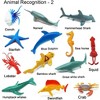 TEMI 24-Pack Realistic Sea Animal Figures, Plastic Ocean Toy Set with Turtle, Octopus & Shark for Pool Party and Educational Play - 3 of 4