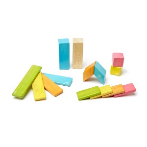 Tegu Magnetic Wooden Blocks, 14-Piece Set, Tints - 1 of 4
