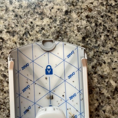 Guest review image 1 of 1, zoom in