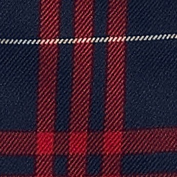 classic navy large plaid