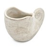 Okak 9x5.5x5.7 Inches Sand and Cement Conch Shell Planter Textured Finish for Indoor and Outdoor Use, Decorative Plant Pot - 2 of 4