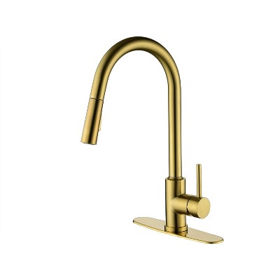 Grungis Single Handle Bathroom Sink Faucet,Bathroom Faucet with Pull Down Sprayer for Home Sinks