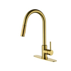 Grungis Single Handle Bathroom Sink Faucet,Bathroom Faucet with Pull Down Sprayer for Home Sinks - 1 of 4