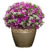 Set of 2 Corinthian Planters - Classic Home and Garden - 3 of 4