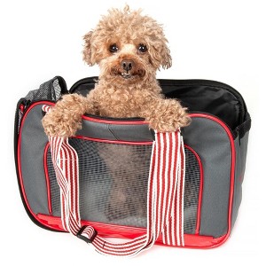 Munora - 'Candy Cane' Fashion Pet Carrier - 15"L x 8"W x 11"H - Striped Handbag Strap Design - 1 of 4