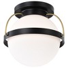 Nuvo Lighting Lakeshore 1 - Light Flush Mount in  Matte Black - 4 of 4