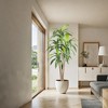 Brazilian Ironwood Artificial Plant – 6FT Garden Faux Tree with 5 Trunks, Tall Greenery Topiary for Modern Indoor & Outdoor Home Decor - 2 of 4