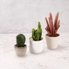 Unique Bargains Acrylic Floating Wall Mounted Floating Shelf for Bathroom Wall Decoration - 4 of 4