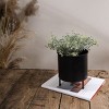 6.75" x 7.5" Black Metal Footed Decorative Planter - 2 of 4