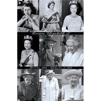 Trends International Queen Elizabeth II - Grid Magnetic Framed Wall ...