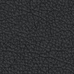 new england patriots