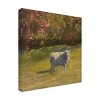 Trademark Fine Art - Marilyn Wendling  Sheep in Field IV Canvas Art - 4 of 4