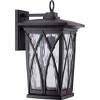 Grover 1-Light Mystic Black Outdoor Wall Lantern - 2 of 4