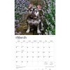 BrownTrout For the Love of French Bulldogs 2026 14"x24" Hanging Deluxe Wall Calendar Plastic-Free - 3 of 4