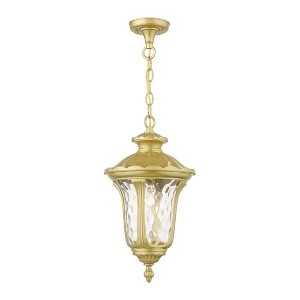 Livex Lighting Oxford 1 - Light Pendant in  Soft Gold - 1 of 4