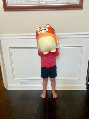 Guest review image 1 of 1, zoom in