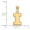 Black Bow Jewelry 14k Yellow Gold Plated Sterling Silver Illinois Fighting Illini NCAA Small Pendant - 2 of 3