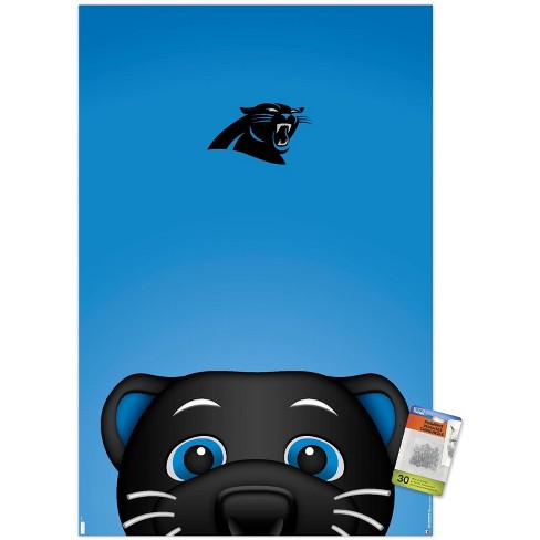 NFL Carolina Panthers - Logo 21 Wall Poster, 22.375 x 34 